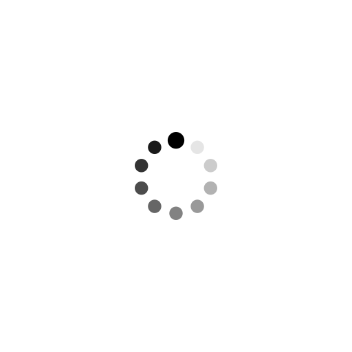 Shadow Stickman Fight